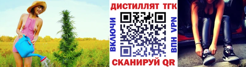 где найти   Георгиевск  ТГК Wax 