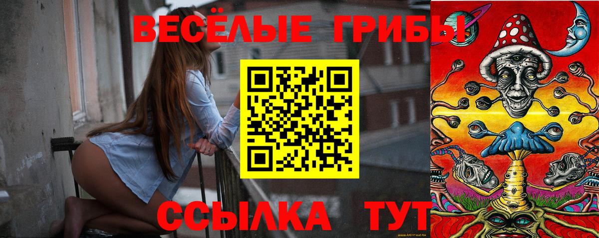 Георгиевск  Псилоцибиновые грибы мухоморы  Вход с VPN 