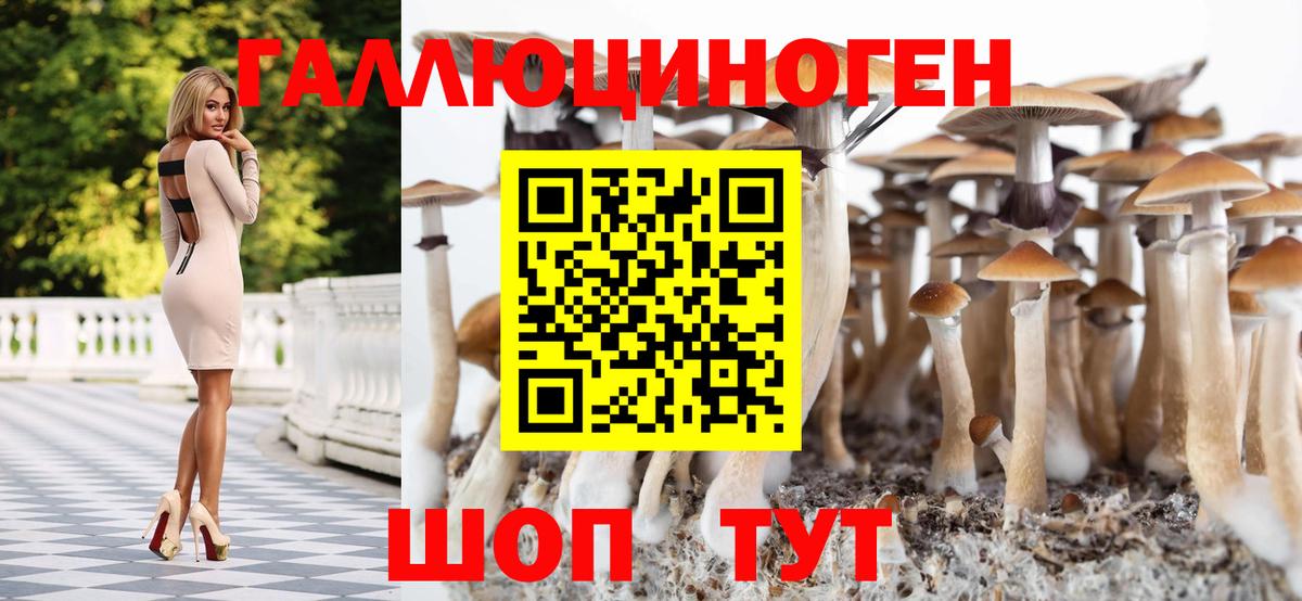 Галлюциногенные грибы GOLDEN TEACHER Георгиевск